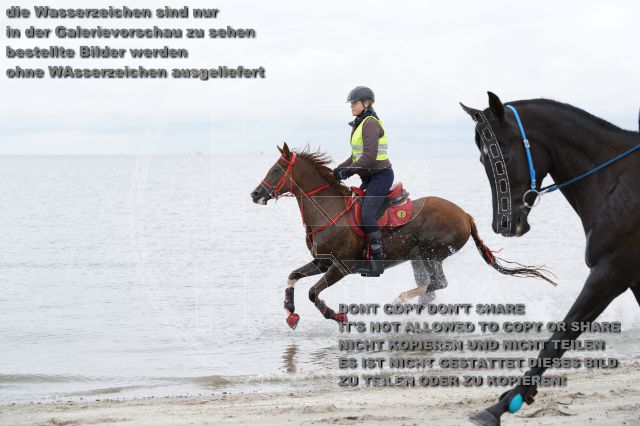 s_K3F04811.JPG
